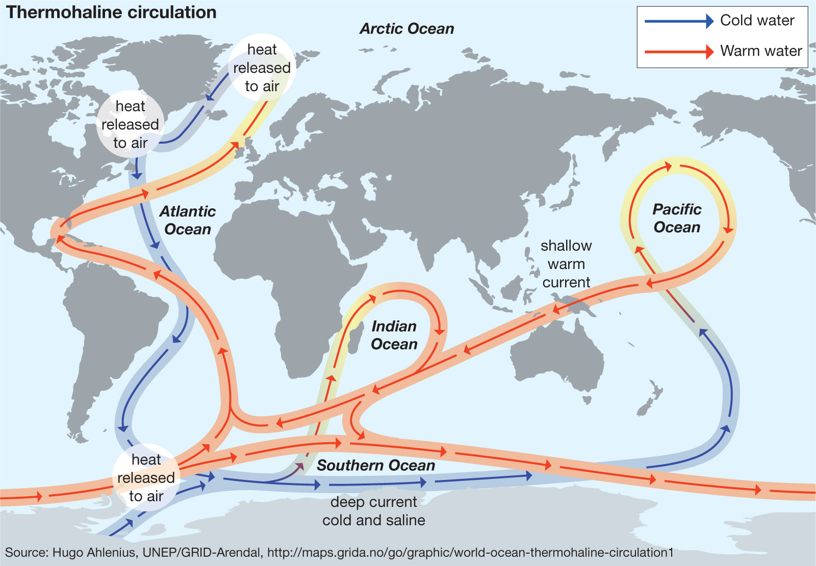 The Role of AMOC and Consequences of its Collapse