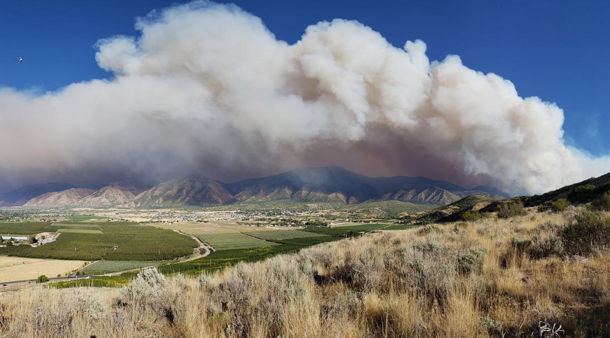 Challenges in Managing the Wildland Urban Interface - Eclipse Optics