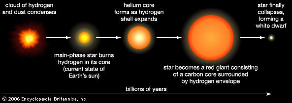 The Life and Death of Our Star: The Sun