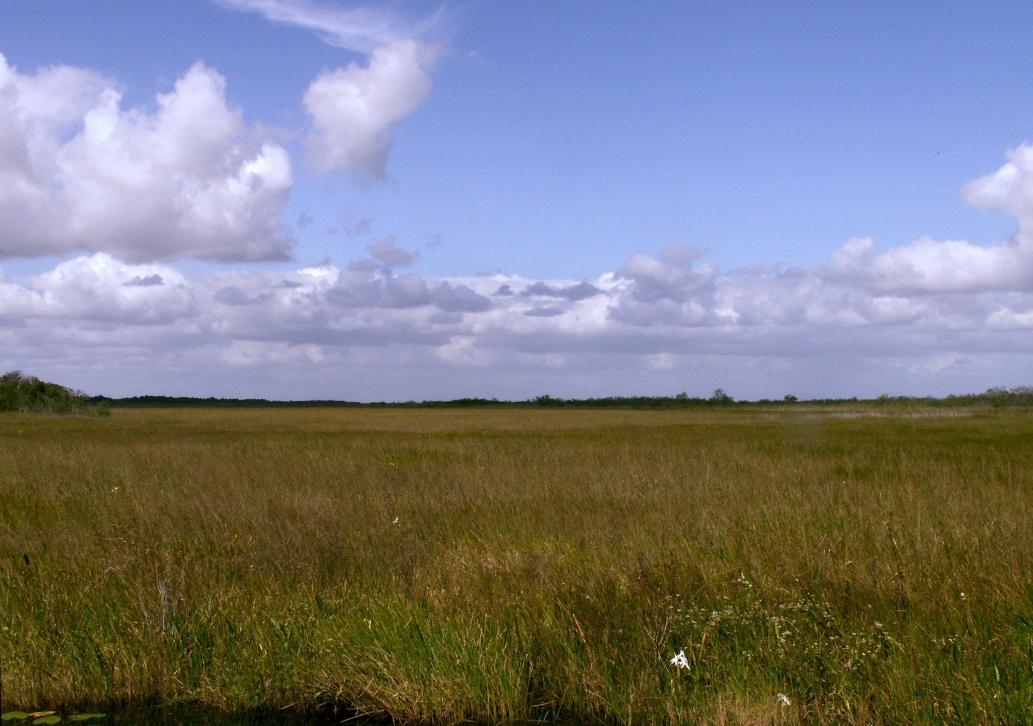 How Did the Everglades Form? - Eclipse Optics