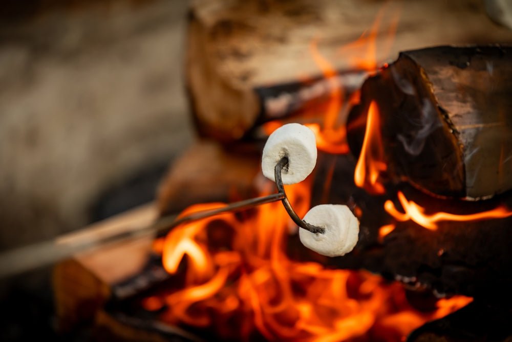 How Fire Shaped the Evolution of Humanity | Eclipse Optics Learning