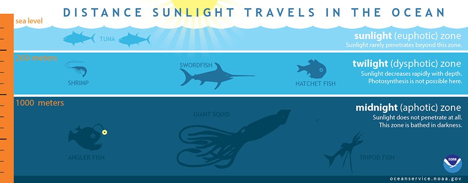 The Pelagic Zones of the Ocean - Eclipse Optics