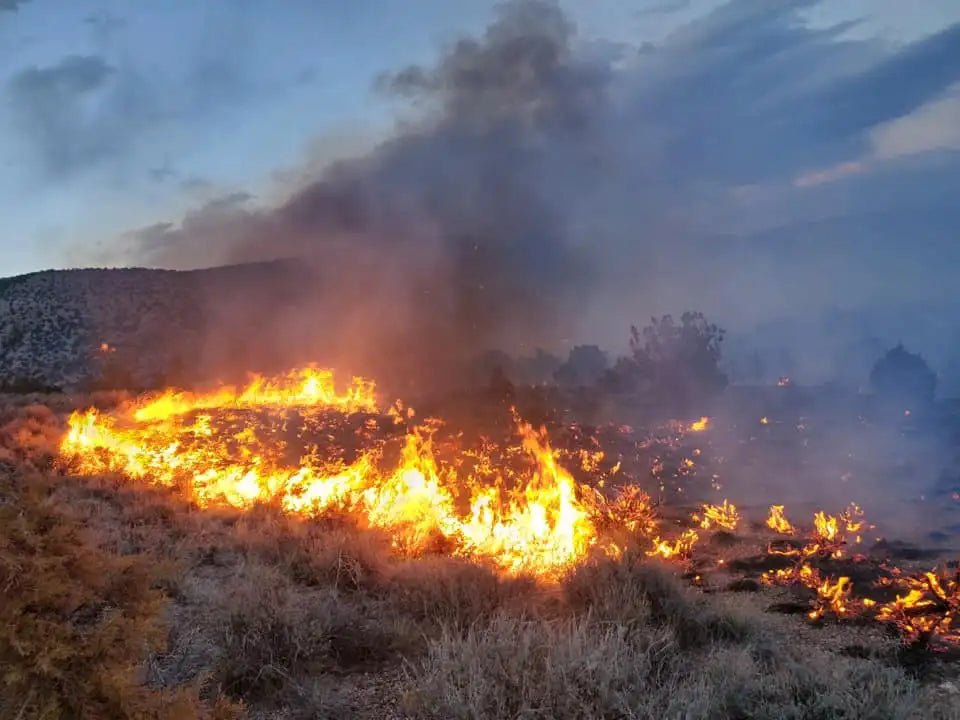 Wildfires in the West - Eclipse Optics